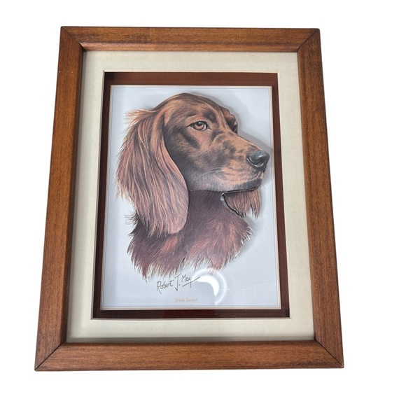 Irish Setter Dog 3D Print Signed By Artist Robert J. May Wooden Frame 9 X 11.5 - Picture 4 of 11